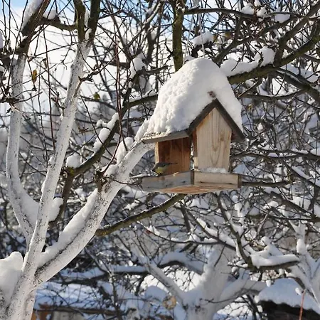 Forester Apartament Zuberzec
