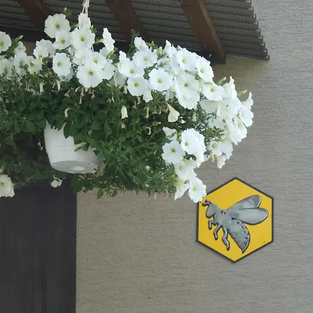 Appartement Forester *